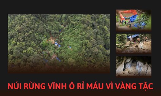 Lán trại của vàng tặc ở trên khu vực rừng xã Vĩnh Ô.