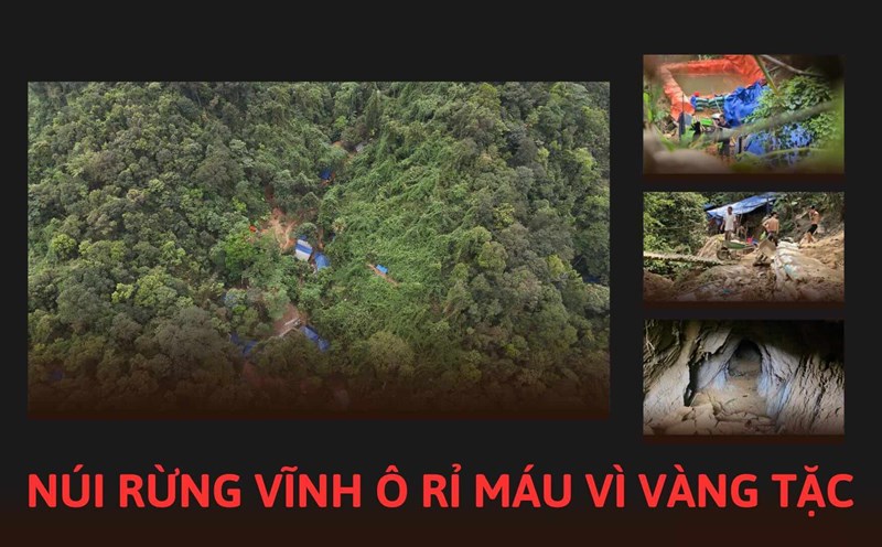 Camp of gold bandits in the forest area of Vinh O commune.