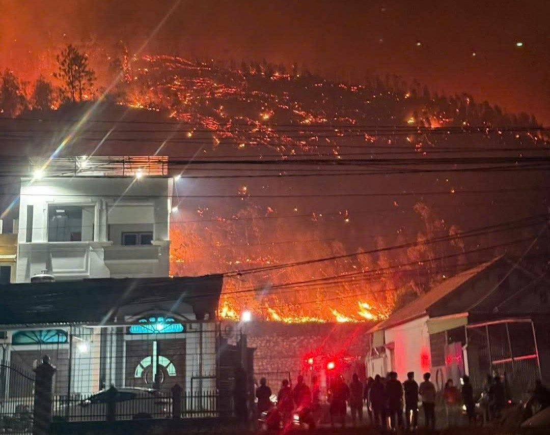 Incendio forestal en la colina de Da Yi, distrito de Da Yi, ciudad de Ha Long la noche del 12 de abril de 2025. Fotografias tomadas por la gente