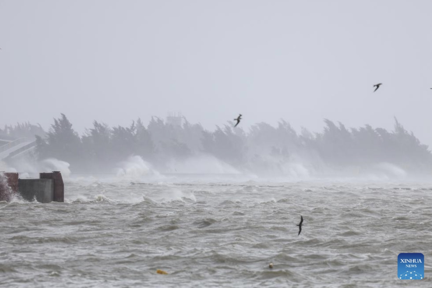 Super typhoon Yagi when entering the East Sea during the stormy season 2024. Photo: Xinhua