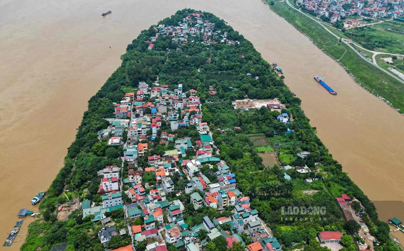 Long Bien District leases nearly 13,000m2 of land along the Duong River dike. Artwork: Dinh Thien
