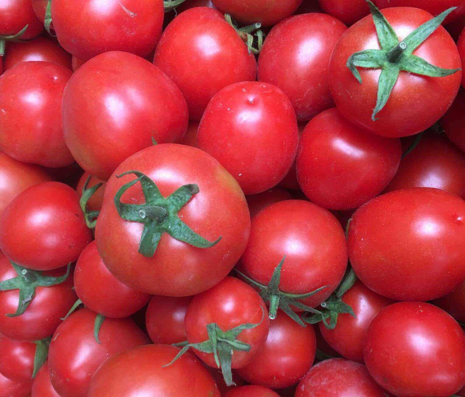 Se dice que los tomates ayudan a desintoxicar el higado. Foto: Kieu Vu