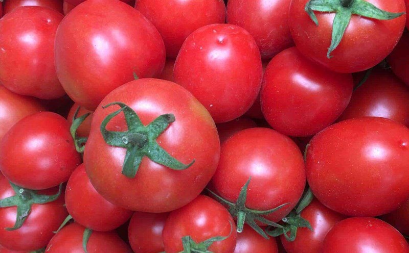 Tomatoes are said to help detoxify the liver. Photo: Kieu Vu