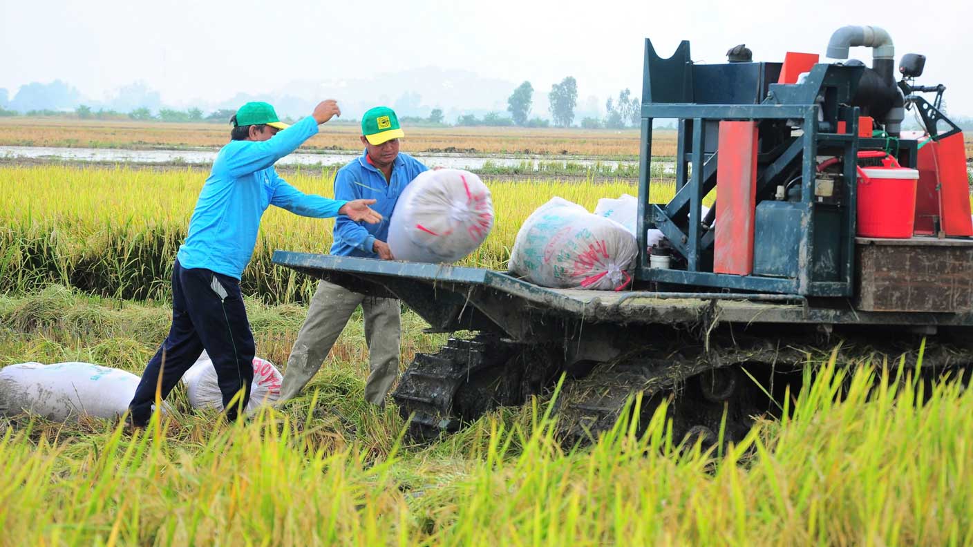 La infraestructura tecnica se considera un factor basico y clave para implementar medidas avanzadas de cultivo de arroz y reducir las emisiones.