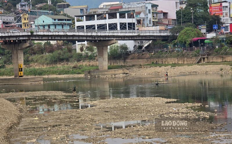 People walk in the middle of the river to catch fish. Photo: Tan Van