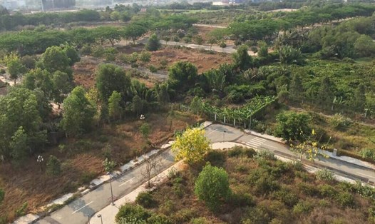 Giá bán phân khúc đất nền đang bị giới đầu cơ chi phối. Ảnh: Bảo Chương