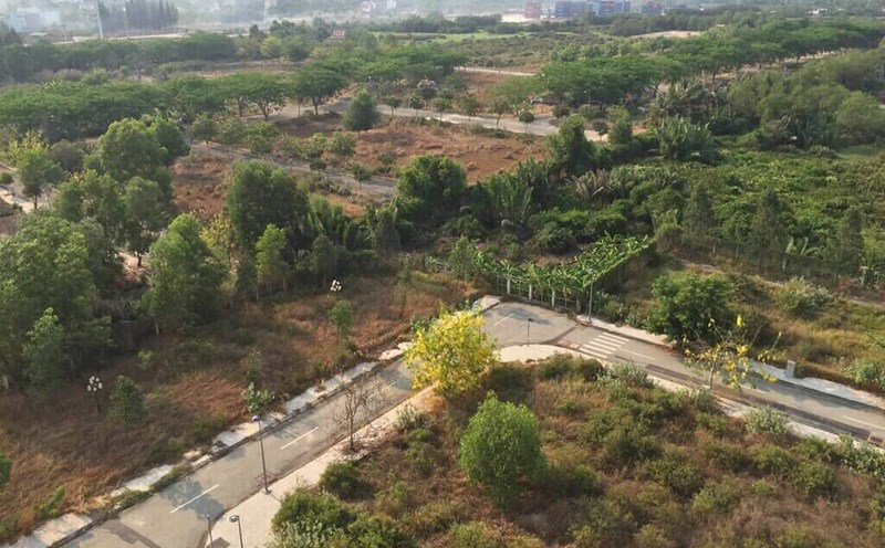 The price of the land segment is dominated by speculators. Photo: Bao Chuong