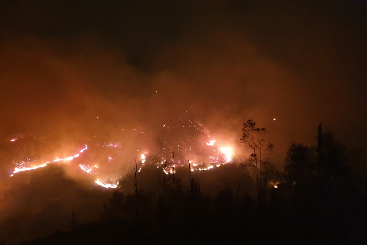 Forest fires in Binh Lieu town, Binh Lieu district, Quang Ninh province. Photo: people supply
