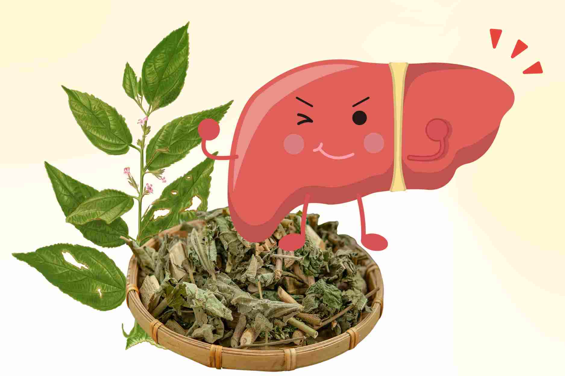 Desoxificacion del higado, sedacion natural solo gracias a un arbol familiar