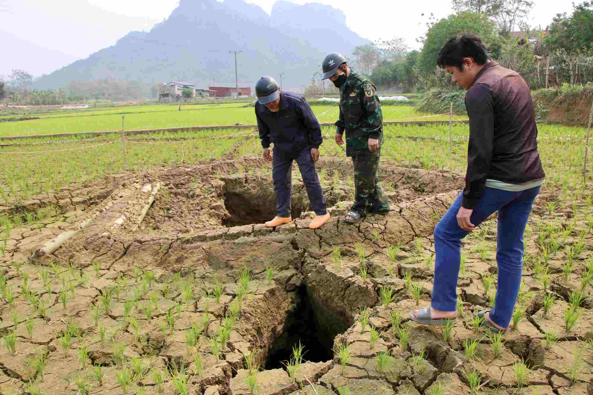The deep pit with many sizes appears between arable land, potentially unsafe. Photo: Nguyen Hoan