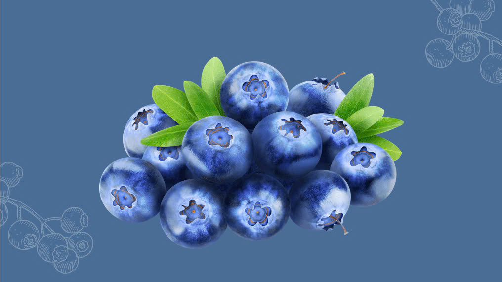 Quiere desintoxicar el riñon, reducir el acido urico, comer esta pequeña fruta