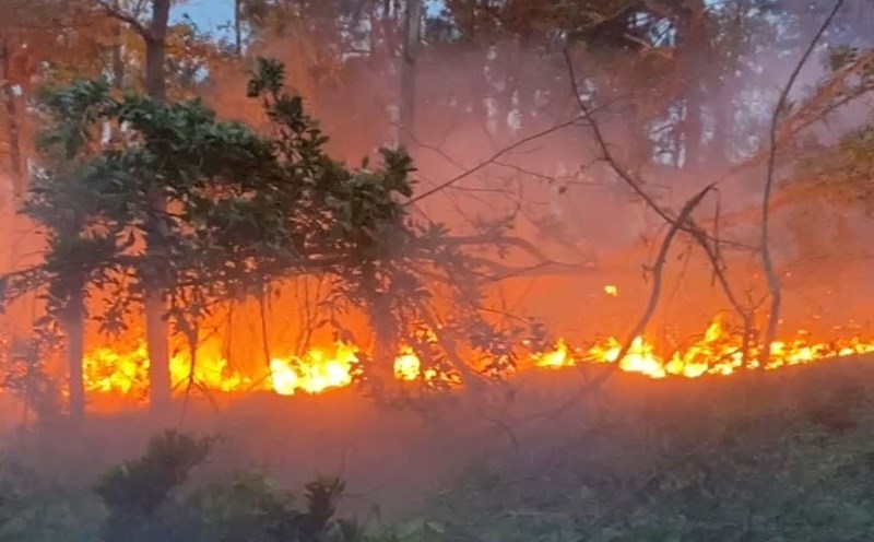 The scene of the fire. Photo: Portal of Kien An District, Hai Phong