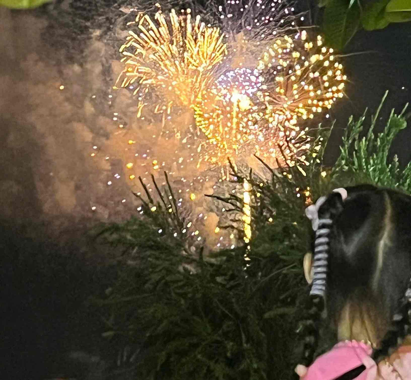 Fireworks in Bien Hoa City (Dong Nai) on the Lunar New Year 2025. Photo: HAC