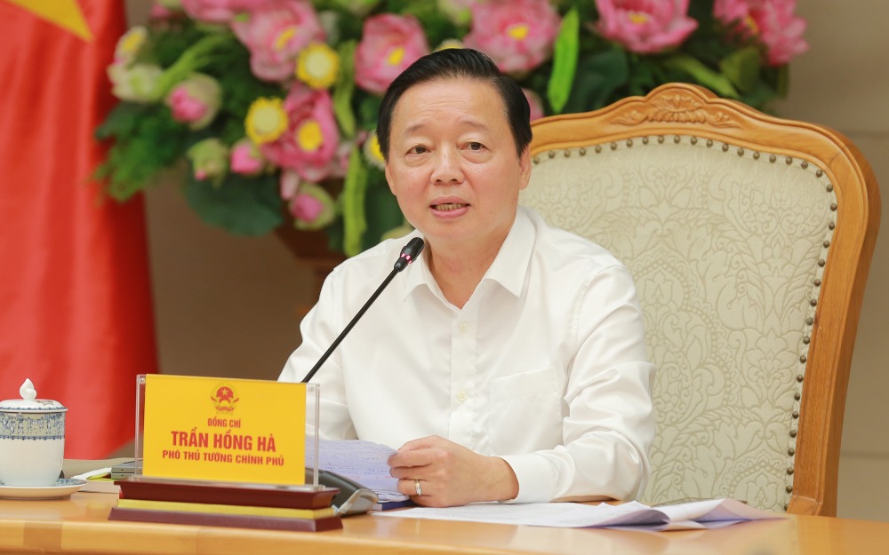 Member of the Party Central Committee, Deputy Prime Minister Tran Hong Ha chaired the meeting. Photo: VGP