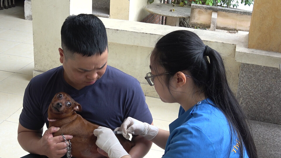 La enfermedad de la gripe en verano, con raspaduras y picaduras, puede ser mortal