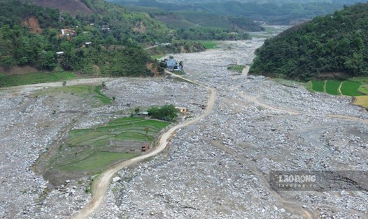 Một khoảng xanh của lúa trên cánh đồng tại xã Trịnh Tường. Ảnh: Đinh Đại