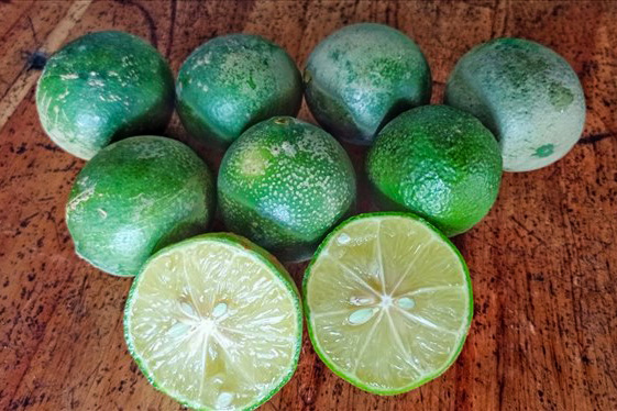 Properly treated when unfortunately being shot by lemon juice in the eye area can help you avoid unnecessary damage to the eyes. Photo: Thanh Ngoc