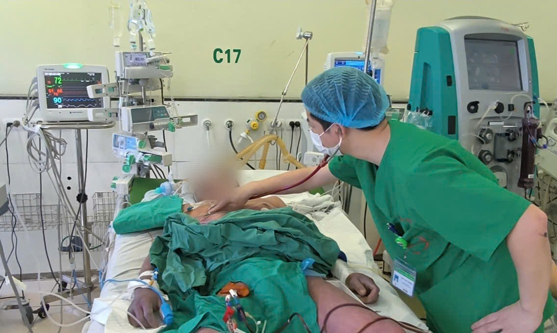 Patients are critical after eating pigs. Photo: Thanh Dang