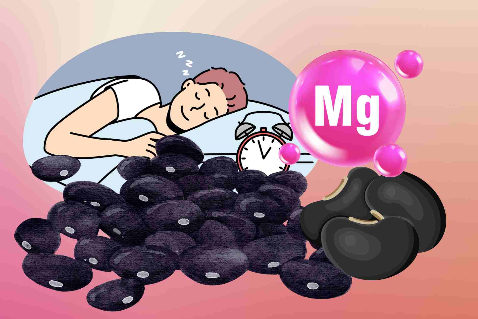 Los frijoles baratos ricos en magnesio pueden tratar el insomnio de manera efectiva. Grafico: Dinh Dinh