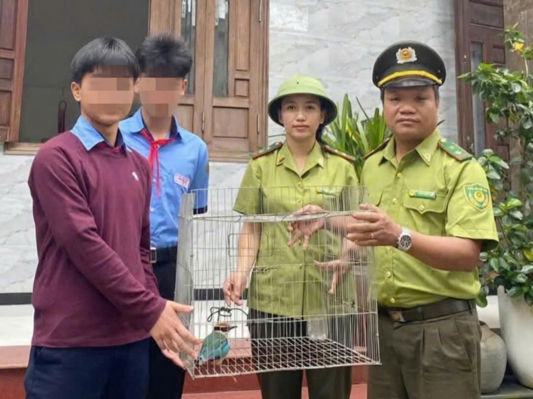 Rangers receive rare birds. Photo: Rangers provided.