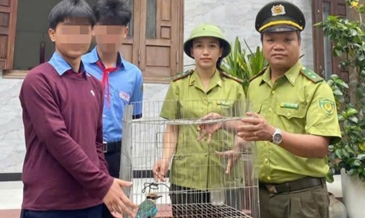 Lực lượng kiểm lâm tiếp nhận loài chim quý hiếm. Ảnh: Kiểm lâm cung cấp.