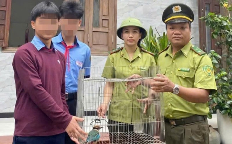 Rangers receive rare birds. Photo: Rangers provided.