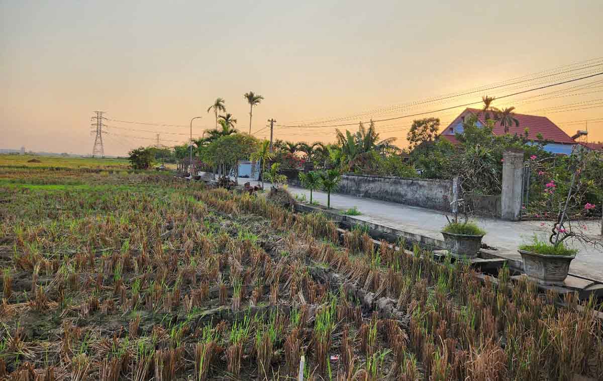 Proponiendo continuar la exencion del impuesto sobre el uso de la tierra agricola desde 1.1.2026 hasta finales de 2030. Foto: Highlands.