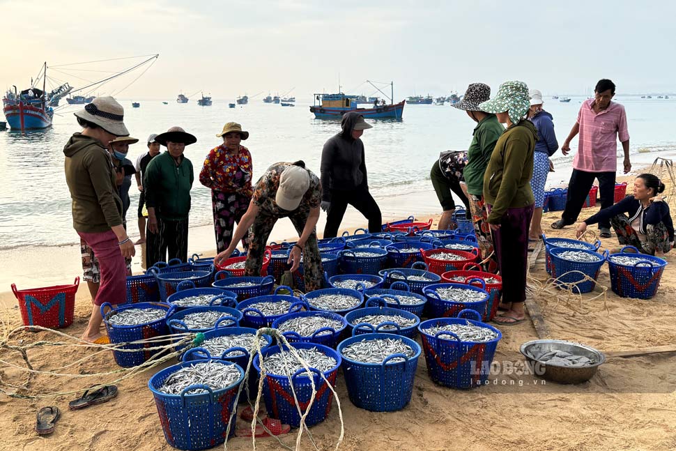 Los comerciantes se movilizan desde la madrugada, esperando que los barcos lleguen a puerto para comprar pescado. Imagen: El muro de seguridad