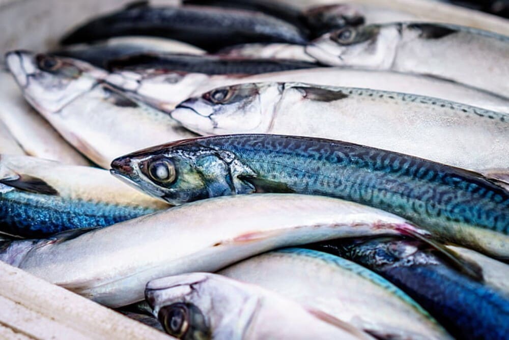 Apply a few tips to choose fresh fish. Photo: Dat