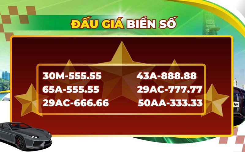 A series of five-quarter license plates in the auction of the license plate on 2-22.4