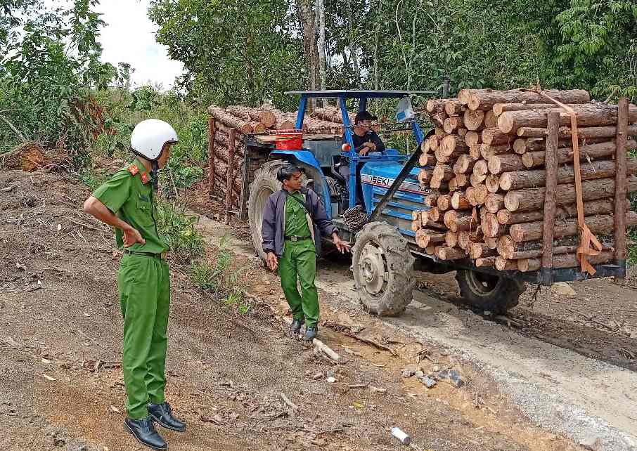 Việc tạm dừng hoạt động khai thác, vận chuyển gỗ tại đây sẽ được Công an xã Lộc Thành giám sát chặt chẽ theo quy định. Ảnh: Lam Hồng