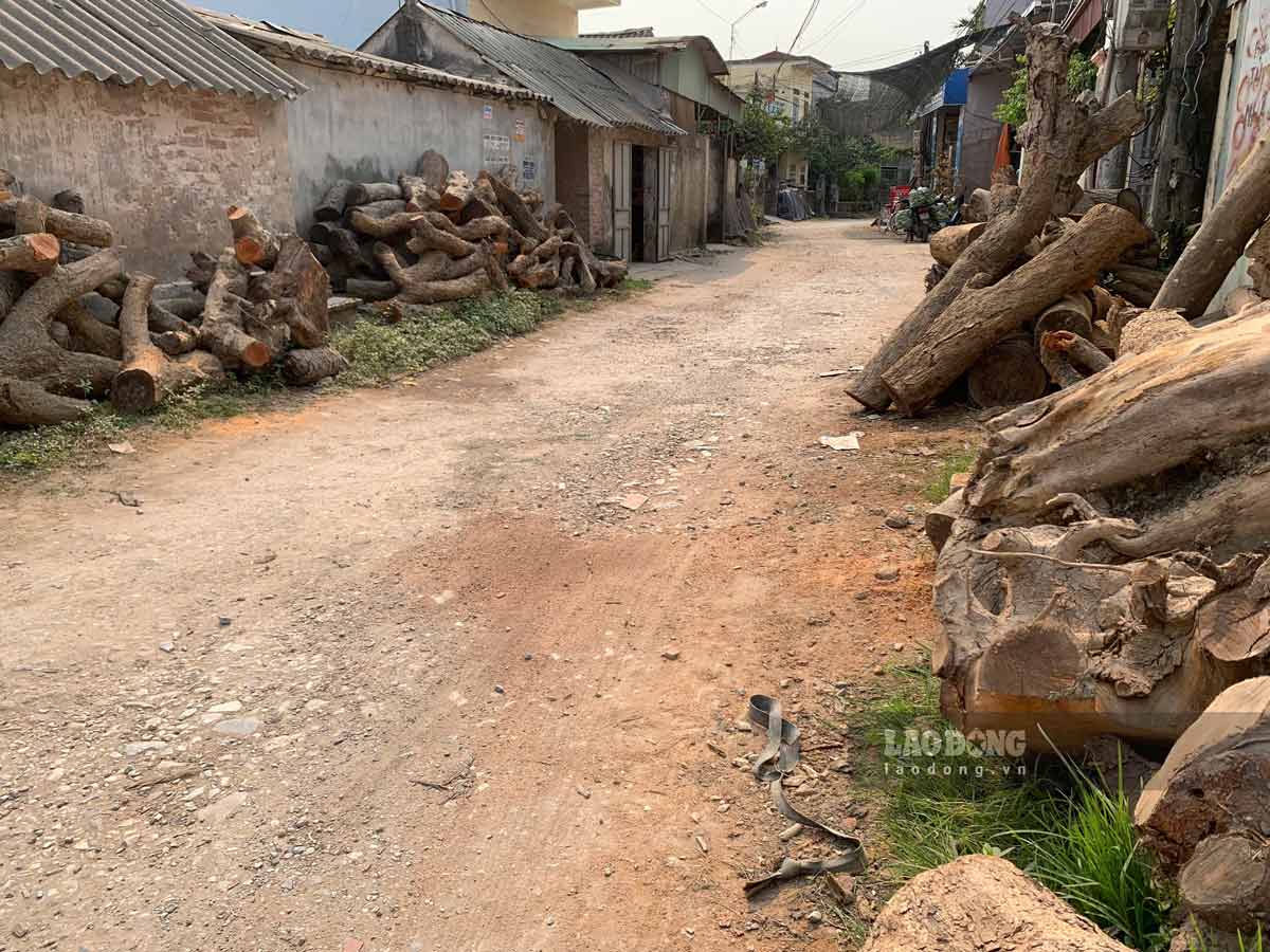 The central route of Chi Lang commune (Hung Ha district, Thai Binh province) for many years of degradation. Photo: Ha Vi