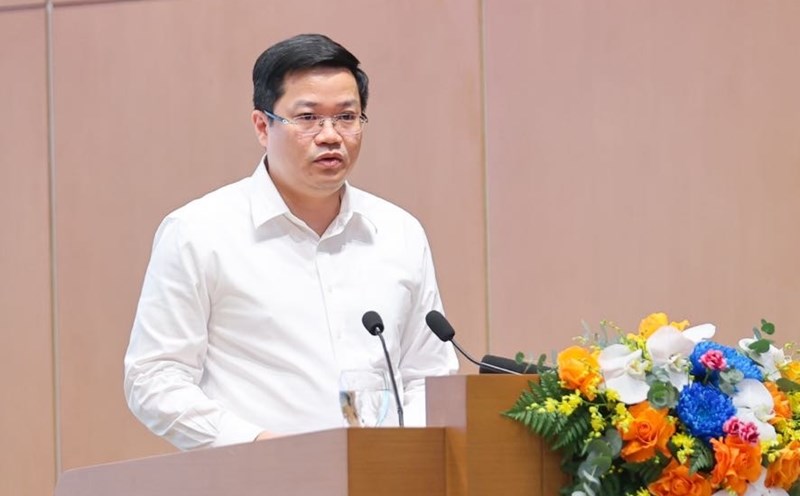 Deputy Minister of Finance Nguyen Duc Tam presented the report at the Conference. Photo: VGP