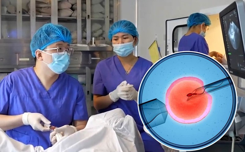 The expensive cost makes it difficult for the journey to find children of many infertile couples