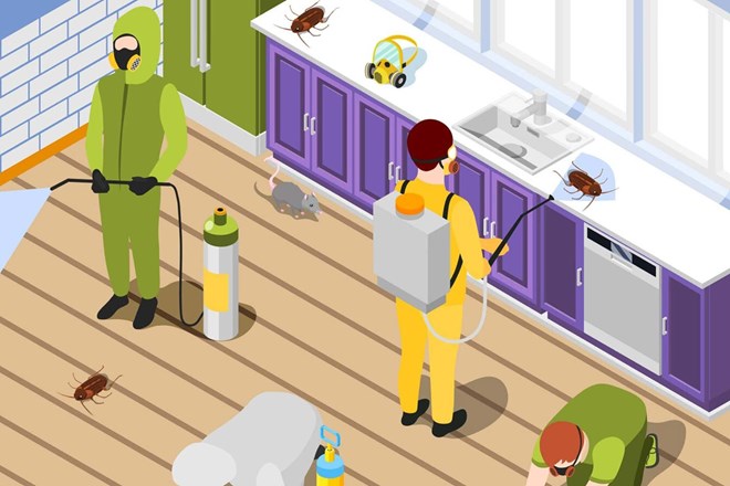 Although stepping on cockroaches may be natural reflexes, but in terms of health and hygiene, this action has many risks. Graphics: Cat Tien