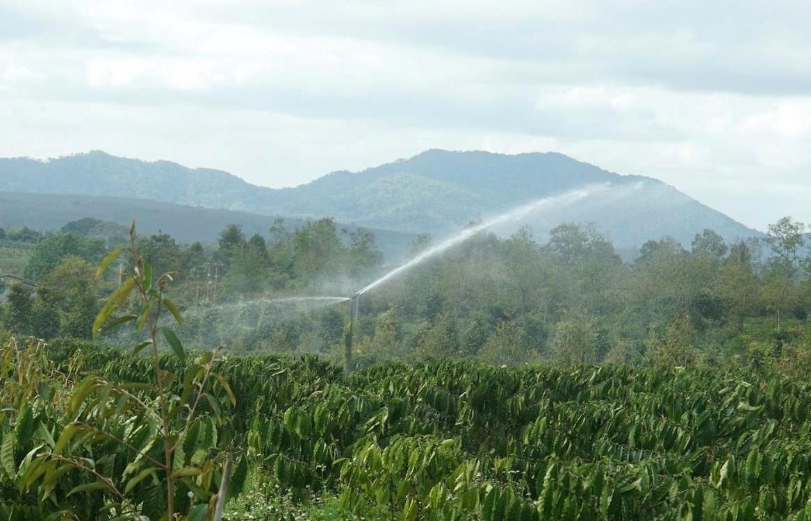 Dak Nong people use rainwater spraying systems to save water and prevent drought effectively. Photo: Duc Hung