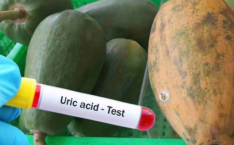 Papaya is beneficial in preventing high uric acid. Photo: Ha May
