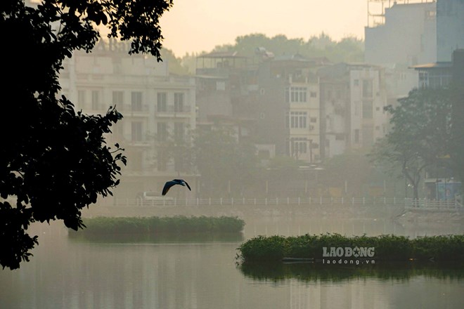 O nhiem khong khi la van de cap bach tai Viet Nam hien nay, dac biet tai cac thanh pho lon. Anh: Huy Hung.