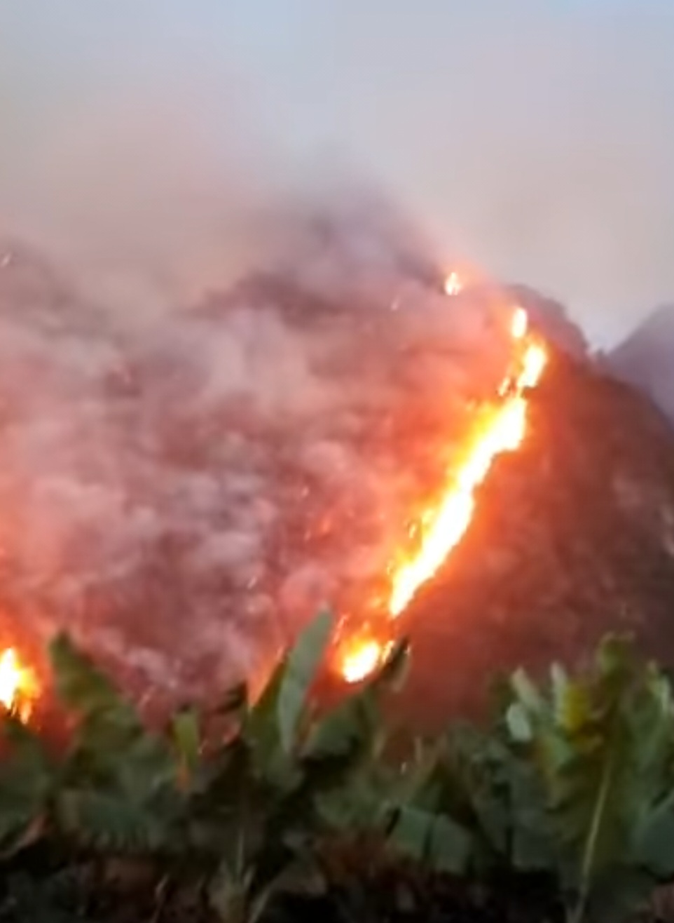 Forest fire in Ha Nam. Photo: Screenshot