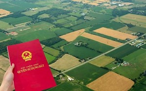 2 cases of vacant land granted red books in 2025