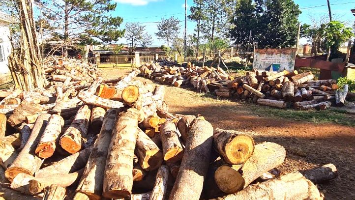 During the time of arranging administrative units, Dak Nong directed to strengthen forest protection. Photo: Bao Lam