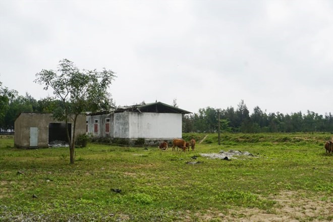 Dự án giống thủy sản 8 tỉ đồng bỏ hoang, loay hoay phương án xử lý