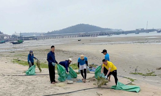 Nhân dân, du khách ra quân làm sạch bãi biển trên huyện đảo Cô Tô, tỉnh Quảng Ninh. Ảnh: Cổng TTĐT Quảng Ninh
