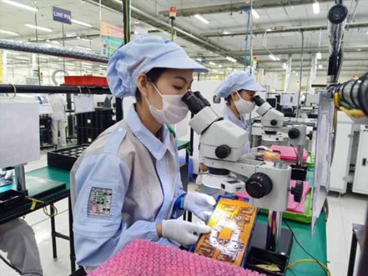 El Sindicato de los Mares esta al lado del movimiento de los trabajadores creativos. Imagen: El milagro de los animales