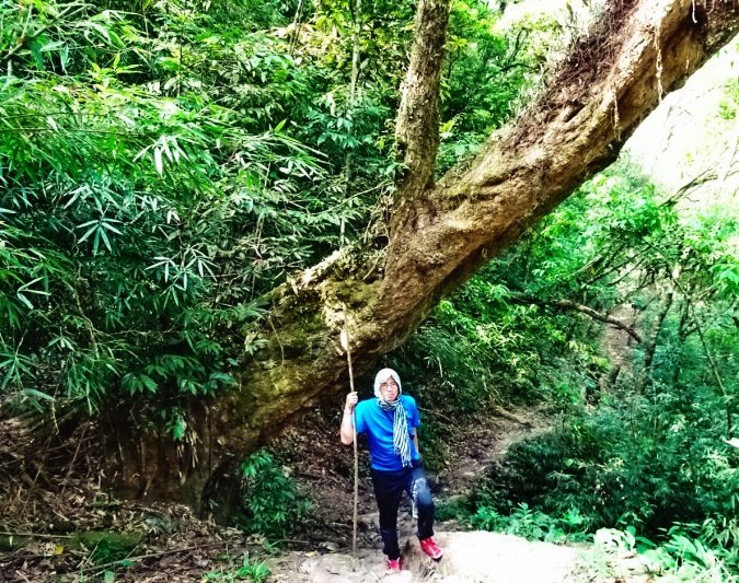 Trekking is a familiar activity in the form of green tourism. Photo: An Le