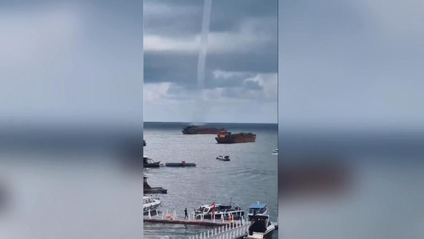 Dragon fruit appeared in the An Thoi sea area, Phu Quoc City. Photo from video clip