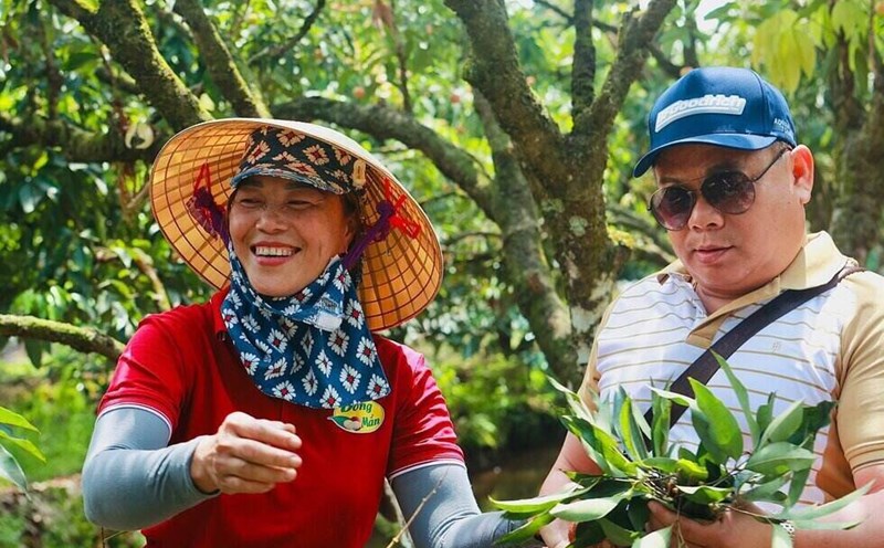Tourists visit and experience picking fabric in the garden. Photo: Nguyen Thuy