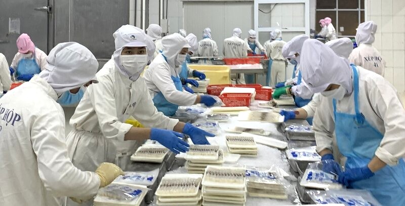 Both Ca Mau and Bac Lieu provinces identify shrimp products as a spearhead economy. Photo: Nhat Ho