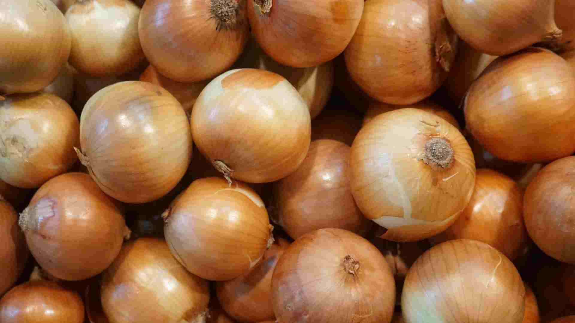 Onions help clean blood vessels. Photo: Ha May