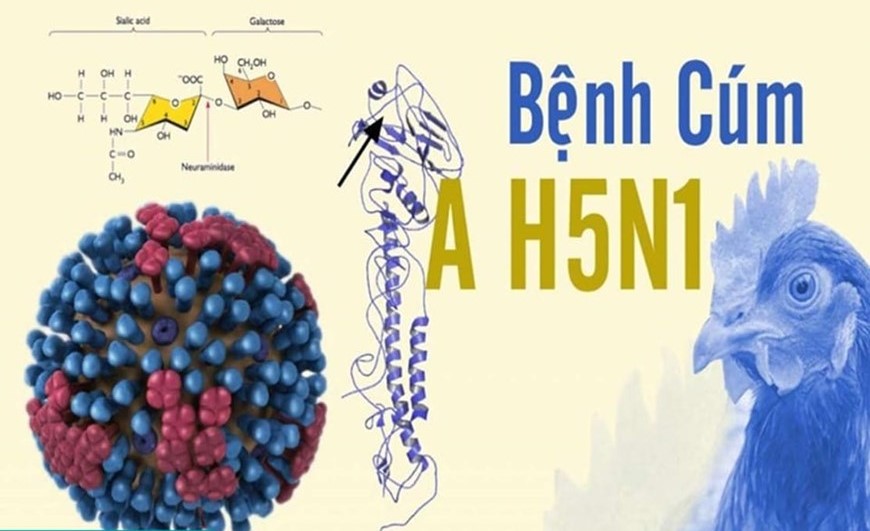 The child suffered from encephalitis due to the H5N1 avian influenza virus. Photo: Provided by the Ho Chi Minh City Department of Health
